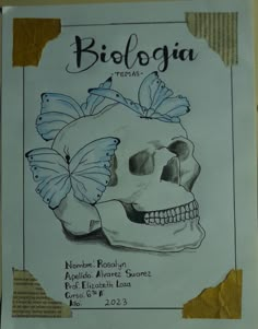 a drawing of a human skull with butterflies on it's head and the words biologia next to it