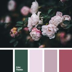 some pink flowers and green leaves on a black background with the color palettes in red