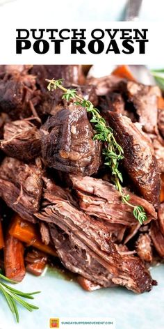 a close up of a plate of food with meat and carrots