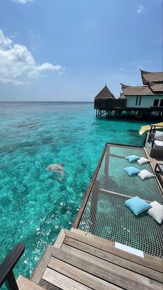 two dolphins swimming in the ocean next to a pier with lounge chairs and umbrellas