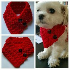 three pictures of a dog wearing a red knitted neck tie with buttons on it