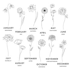 an image of flowers for the month of march