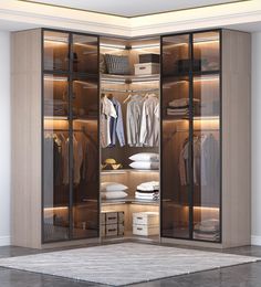 a walk in closet filled with lots of clothes and boxes next to a white rug