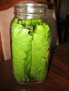 a glass jar filled with green leaves on top of a wooden table