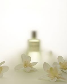 three white flowers sitting on top of a table next to a bottle with a liquid in it