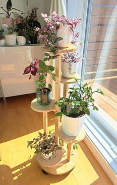 three tiered plant stand with potted plants on it in front of a window