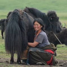 a woman sitting on the ground next to two yaks with long black furs