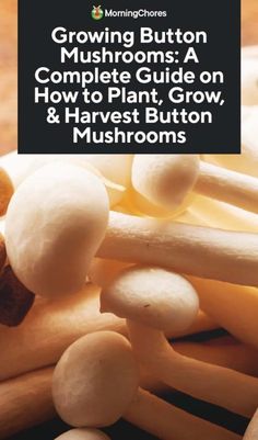 mushrooms on a cutting board with text growing button mushrooms a complete guide on how to plant, grow, and harvest mushrooms