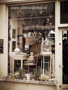 an old fashion store window display with chairs and tables in the front, and birdcages on the windowsill