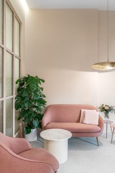 a living room filled with furniture and a potted plant