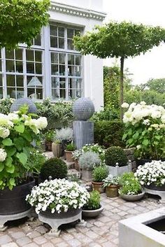 an outdoor garden with potted plants and flowers