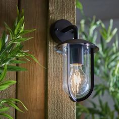 a light that is on the side of a wooden wall next to a potted plant