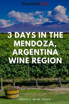 Vineyard and a bucket of flowers in the foreground with the Andes Mountains in the background. Argentina Culture, Antarctica Travel, Wine Production, Travel Peru, Travel Caribbean, Visit Argentina, Bolivia Travel