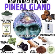 Decalcify Pineal Gland, Turmeric Oil, Kangen Water, Oregano Oil, Magic Herbs, Pineal Gland, Dr Sebi, Herbal Healing, Herbal Magic