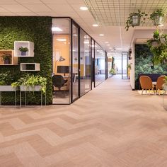 an office with plants on the wall and chairs in the middle, along with other desks