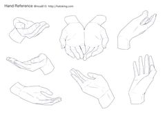 hands are shown with different positions and shapes