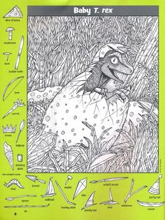 an illustrated book with instructions for how to draw baby t - rex