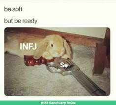 Meyers Briggs Personality Test, Infj Door Slam, Infj Characters, Infj Things