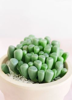 a white bowl filled with green plants on top of a table