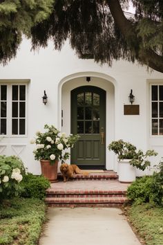 a dog is laying on the steps in front of a house with potted plants