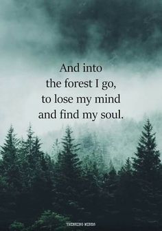 Lost Soul Quotes, Forest Quotes, Into The Forest I Go, Feeling Quotes, Reconnect With Nature, Into The Forest, Favorite Sayings, Random Quotes, Nature Quotes