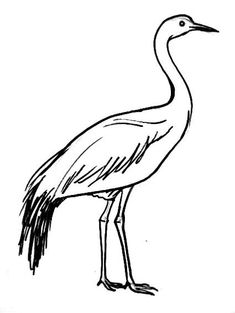 a black and white drawing of a bird with long legs, standing in front of a white background