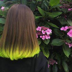 Two Color Hair, Hair Streaks, Hair Color Purple, Short Hair Color, Yellow Hair, Tone Hair