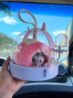 a person holding a hamster in a car with its head inside a glass dome