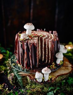 an instagram photo with a cake on it and mushrooms around the cake, as well as candles