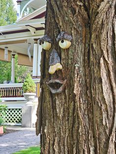 a tree with a face drawn on it