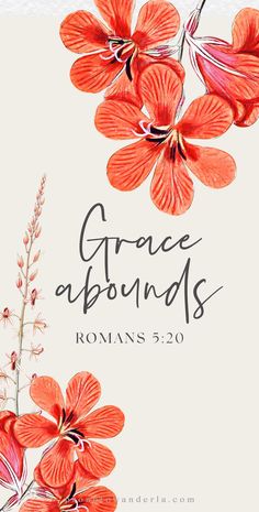 an orange flower with the words grace abounds