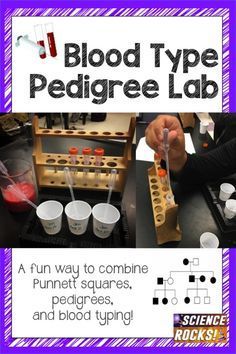 the science rocks blood type pedigree lab is fun for kids and adults to learn