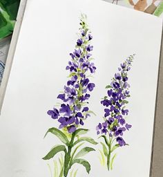 watercolor painting of purple flowers on white paper