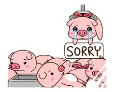 a group of pigs sitting next to each other in front of a sign that says sorry