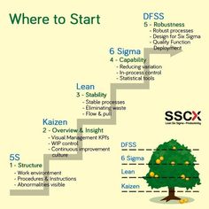 the steps leading up to a tree that is labeled as sscx and dss