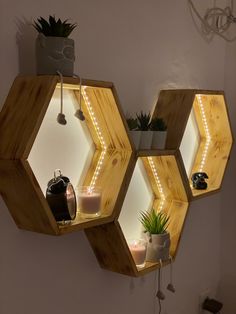 three hexagonal wooden shelves with lights on them and plants in the middle one