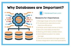 a blue and white poster with text that says, why databases are important?