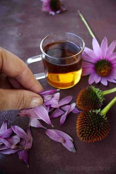 a person is holding a flower next to a cup of tea and some purple flowers