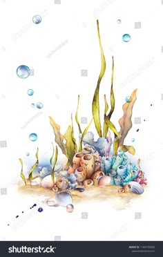 an underwater scene with seaweed, corals and other marine life on white background