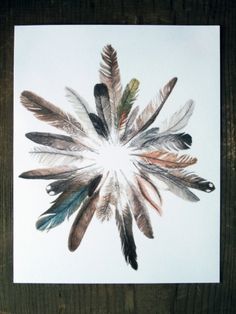 an image of feathers arranged in the shape of a snowflake on a piece of wood