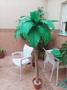 a small palm tree in a potted plant next to two white chairs and a table