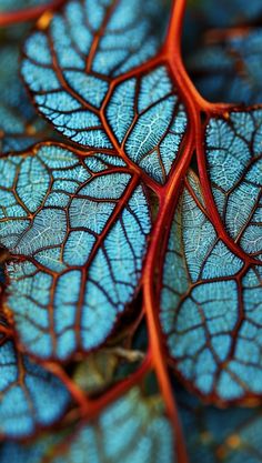 blue and red leaves are arranged together on the surface, as if they were in nature