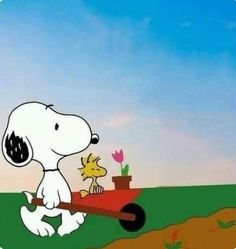 Snoopy Garden, Peanuts Gang Christmas, Snoopy Hug, Snoopy Museum, Peanuts Charlie Brown Snoopy, Gemini Love, Snoopy Funny, Cutest Dog Ever