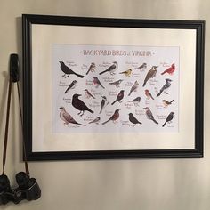 there are many birds hanging on the wall next to each other in this picture frame