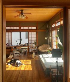 a dog laying on the floor in a room with wooden floors and windows, looking out onto another room