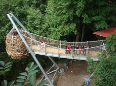 people are walking across a bridge in the forest