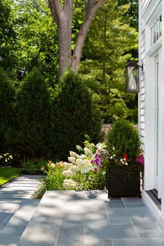 an outdoor walkway with flowers and trees in the back ground, next to a white house