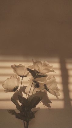 a vase filled with white flowers sitting on top of a table next to a window