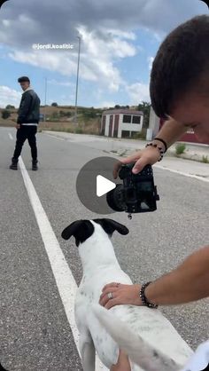 a person holding a camera and petting a dog on the side of the road