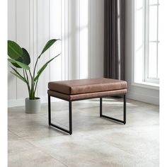 a small bench sitting in front of a window next to a potted plant on the floor